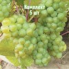 Комплект 5шт / Виноград Изумруд